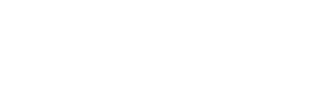 WizardToad